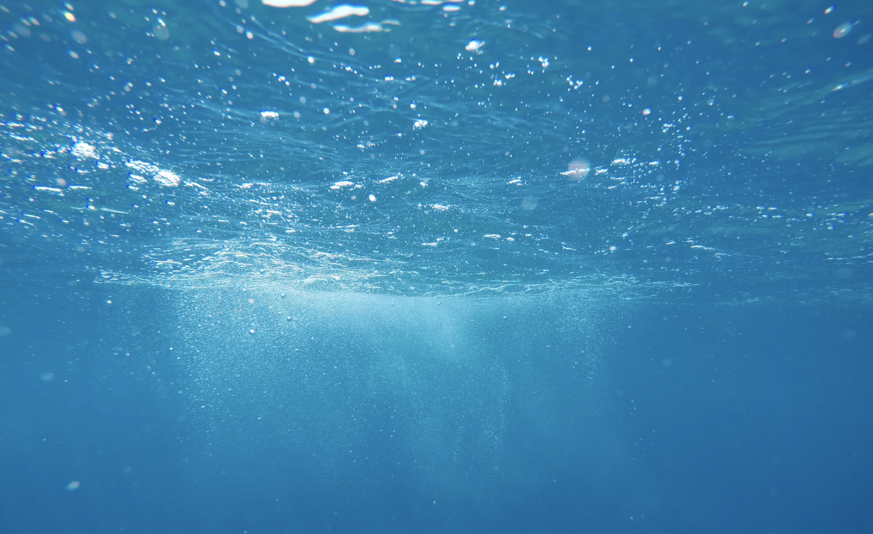 An underwater shot of the ocean